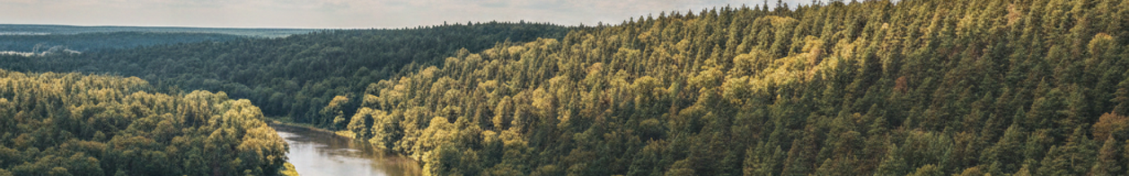 Gemini_Generated_Image_sow2rhsow2rhsow2